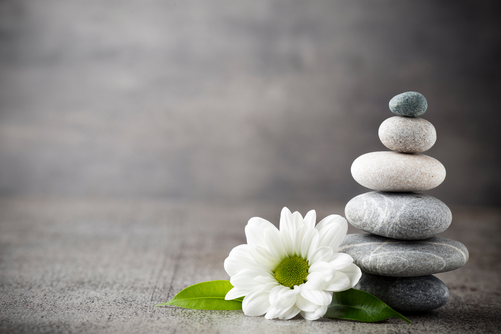 Wellness background.