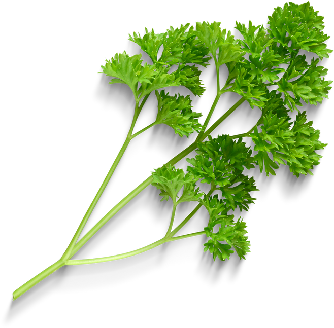 Premium isolated images & templates